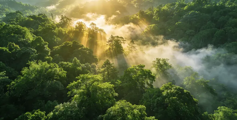 牡丹江肺癌49基因检测图片1