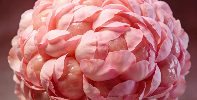 牡丹江BRCA1/2乳腺癌卵巢癌基因检测图片1